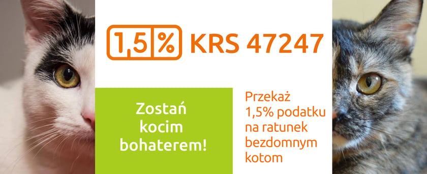 Fundusze pozyskane w ramach 1,5 proc. stanowią także gł&oacute;wne źr&oacute;dło finansowania działalności Fundacji Ochrony Przyrody i Pomocy Zwierzętom, a wszystkie otrzymane środki przeznaczane są na potrzeby zwierząt. Pod stałą opieką fundacji jest około 100 kot&oacute;w &ndash; zar&oacute;wno wolnobytujących, jak i umieszczonych w domach tymczasowych lub w siedzibie fundacji.
W ostatnich rubrykach formularza podatkowego PIT wpisz numer KRS 0000047247.