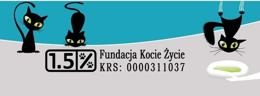 Aby wspom&oacute;c Fundację Kocie Życie, wystarczy w swoim zeznaniu podatkowym wpisać nr KRS: 0000311037.