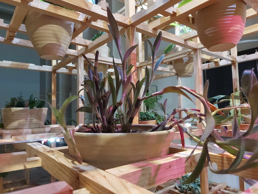 Wystawa Greenhouse Silent Disco w Muzeum Architektury