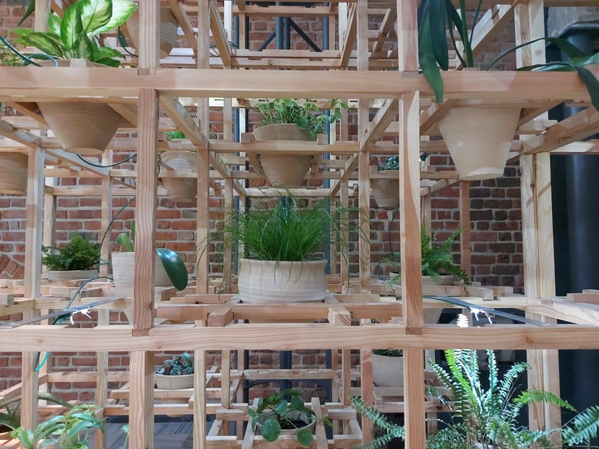 Wystawa Greenhouse Silent Disco w Muzeum Architektury