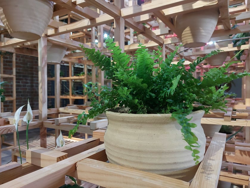 Wystawa Greenhouse Silent Disco w Muzeum Architektury