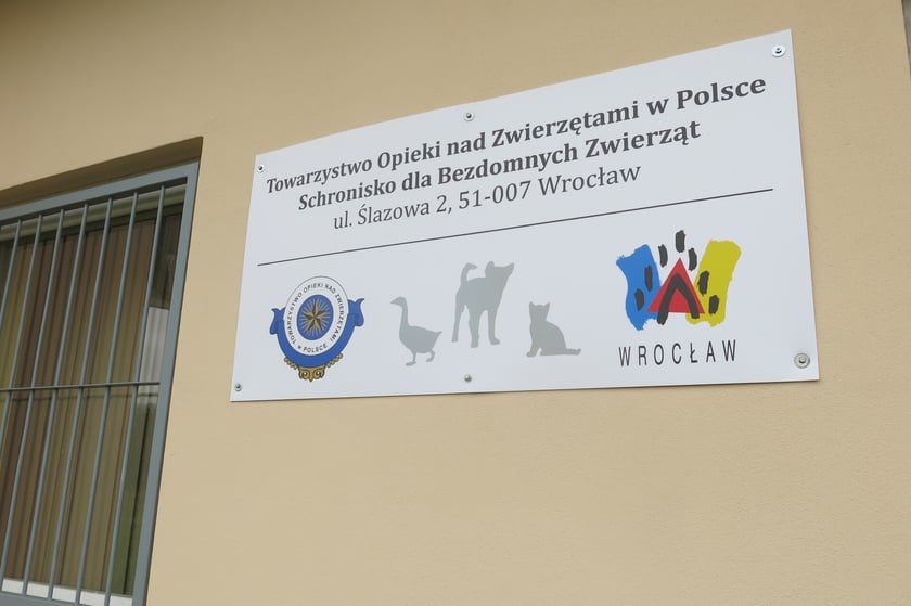 Wiosenny kiermasz dla zwierzaków ze schroniska