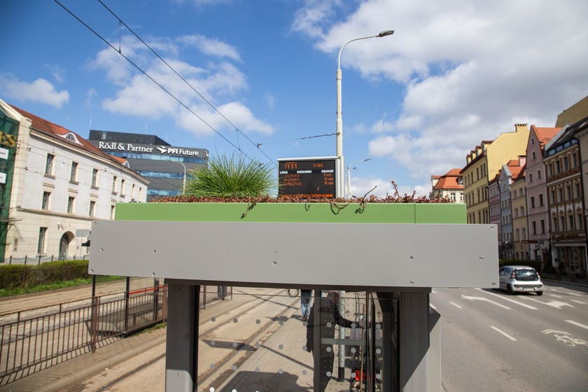 Pierwsza we Wrocławiu zielona wiata na przystanku