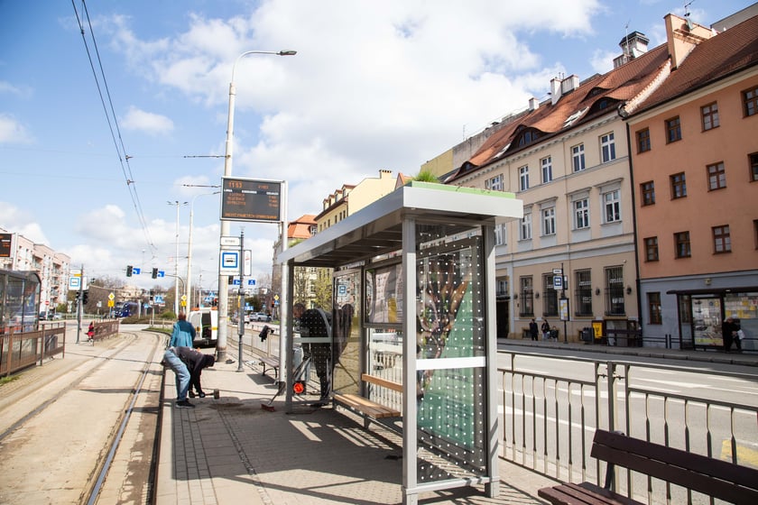 Pierwsza we Wrocławiu zielona wiata na przystanku
