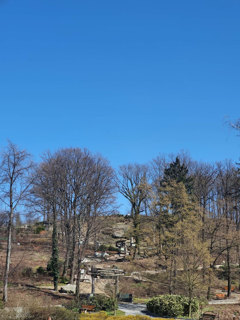 Arboretum Wojsławice