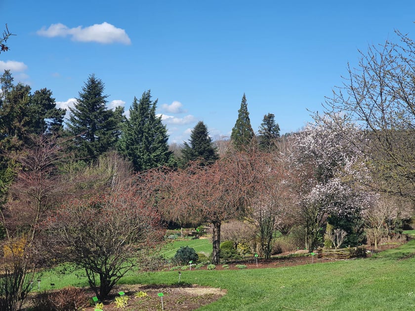 Arboretum Wojsławice