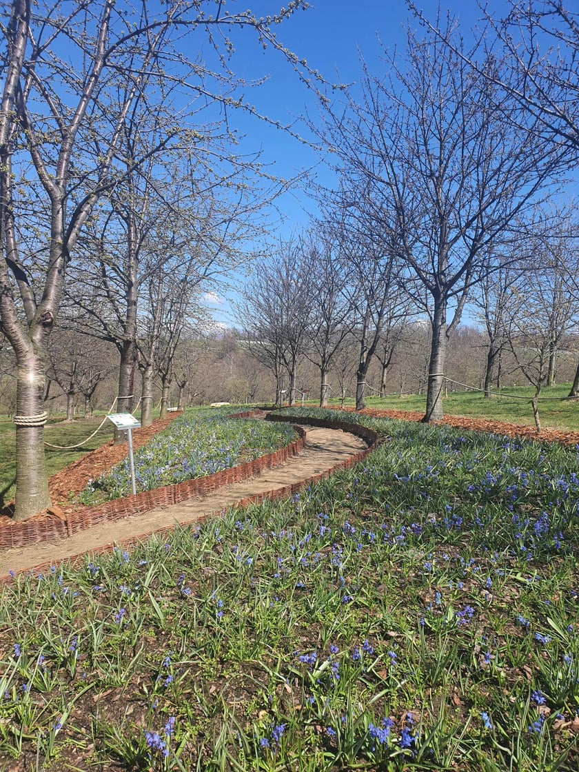 Arboretum Wojsławice