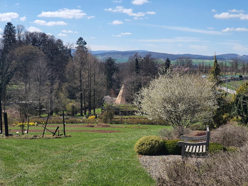 Arboretum Wojsławice