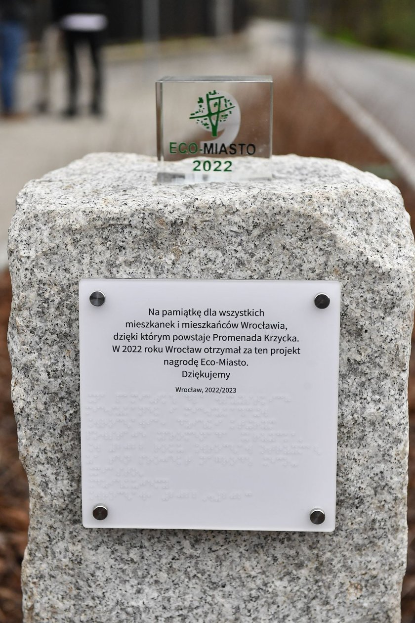 Promenada Krzycka i nagroda Eco-Miasto.