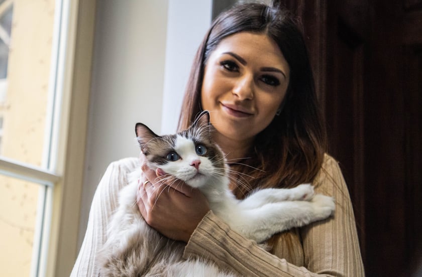 Koko to 1,5-roczny dostojny kocur rasy Ragdoll, zeszłoroczny zwycięzca konkursu Kocia Piękność Wrocławia 2022. Jest towarzyski, bardzo uczuciowy a przede wszystkim oczkiem w głowie swoich właścicieli. Uwielbia aportować kocie piłki i bawić się w berka. Chętnie wita gości i uwielbia podr&oacute;żować. Każda domowa czynność odbywa się z jego udziałem. Cud nie kot!
&nbsp;
