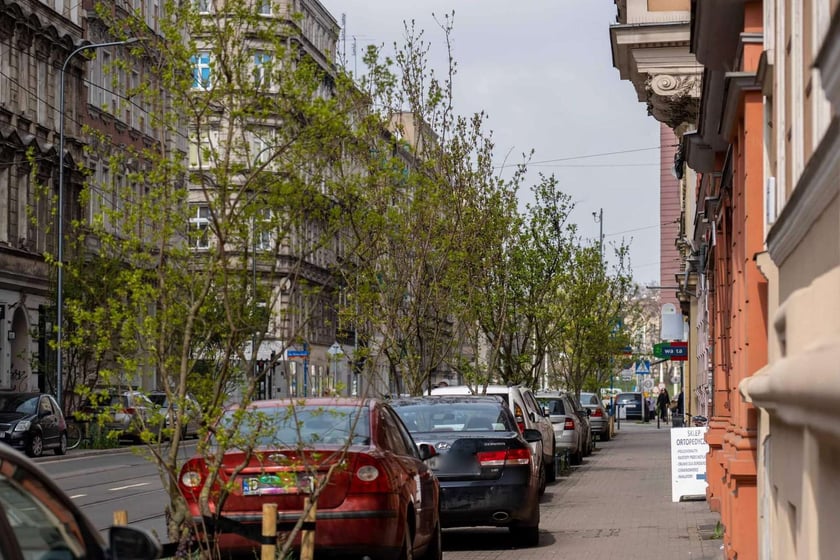 Zielone Nadodrze - zazieleniona ulica Bolesława Chrobrego we Wrocławiu