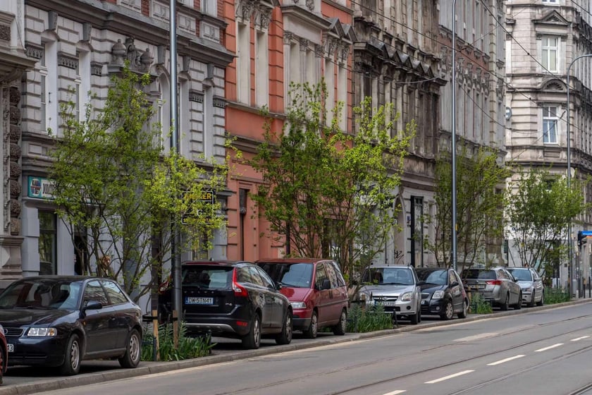 Zielone Nadodrze - zazieleniona ulica Bolesława Chrobrego we Wrocławiu