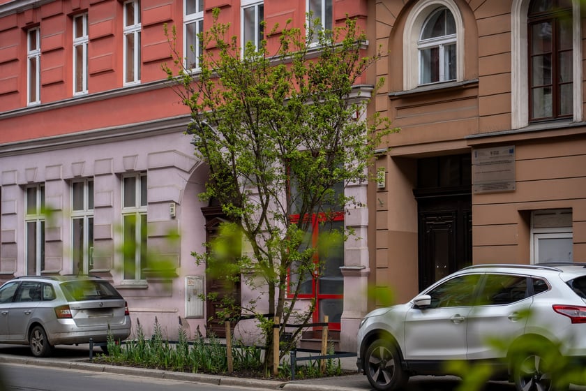 Zielone Nadodrze - zazieleniona ulica Bolesława Chrobrego we Wrocławiu