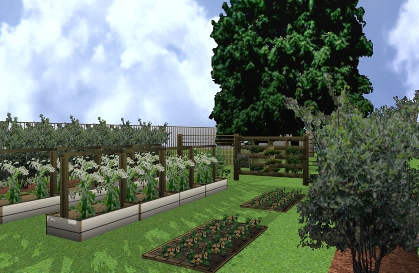Wizualizacja ogrodu warzywnego przy wrocławskiej placówce - projekt FoodSHIFT 2030