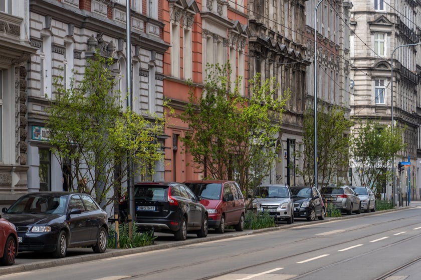Zielone Nadodrze - zazieleniona ulica Bolesława Chrobrego