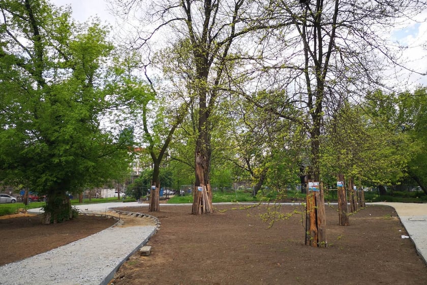 Trwają prace na skwerze Czesława Niemena na wrocławskim Przedmieściu Świdnickim