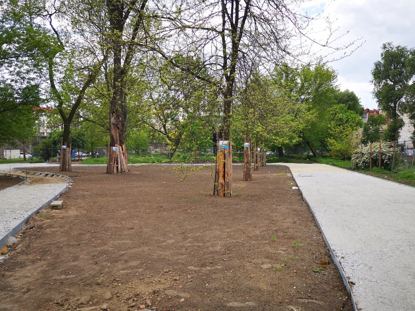 Trwają prace na skwerze Czesława Niemena na wrocławskim Przedmieściu Świdnickim