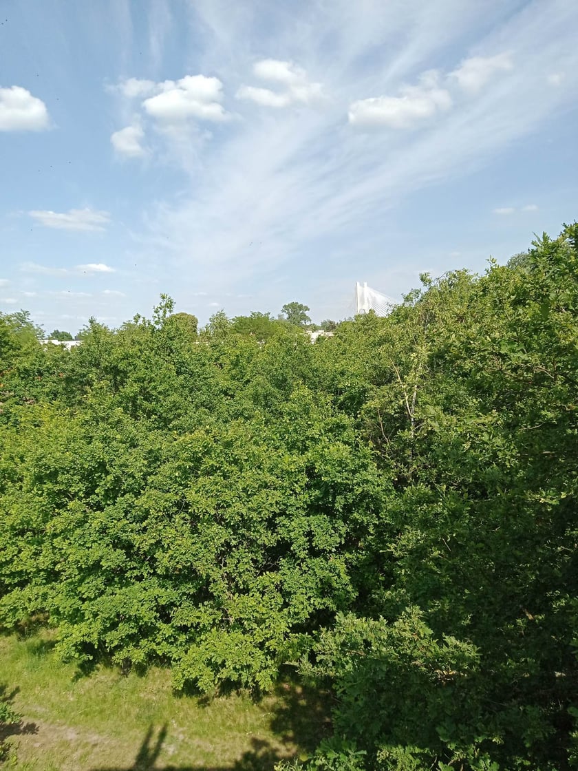 Widok z wieży