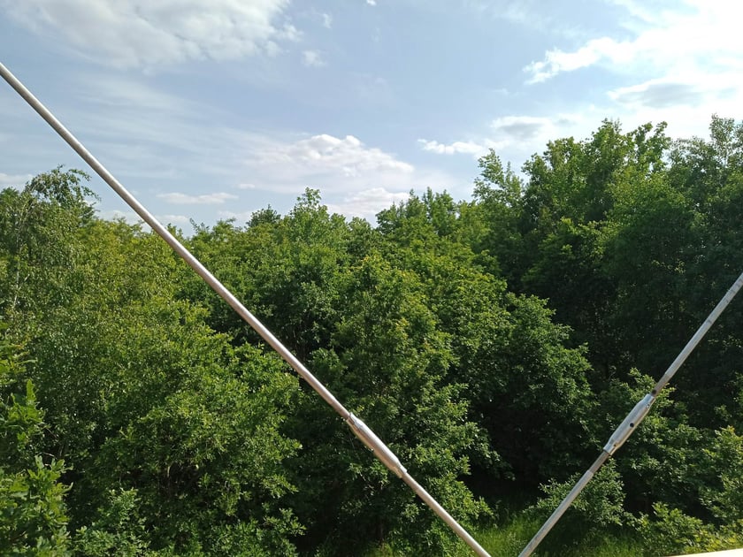 Widok z wieży
