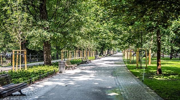 Omijamy centrum, kt&oacute;re też ma fajną zieleń i przyciąga rozlokowanymi w niej atrakcjami. Bronią się same. Jeśli unikamy tłoku turyst&oacute;w, to zrozumiałe, że zieleni szukamy bliżej miejsca zamieszkania. Nie dla niej jedzie się na Stare Miasto.
Jednak, gdy już jesteśmy w centrum, trzeba się zatrzymać na Promenadzie Staromiejskiej wzdłuż fosy, ponieważ ona tworzy klimat naszego miasta. Poniekąd wystarczy sam fakt, że mamy taką opaskę z zieleni. Do tego ciekawa zieleń, ławeczki, alejka i ścieżka rowerowa. Miejsce, kt&oacute;re żyje codziennie i daje życie, oddech miastu. 