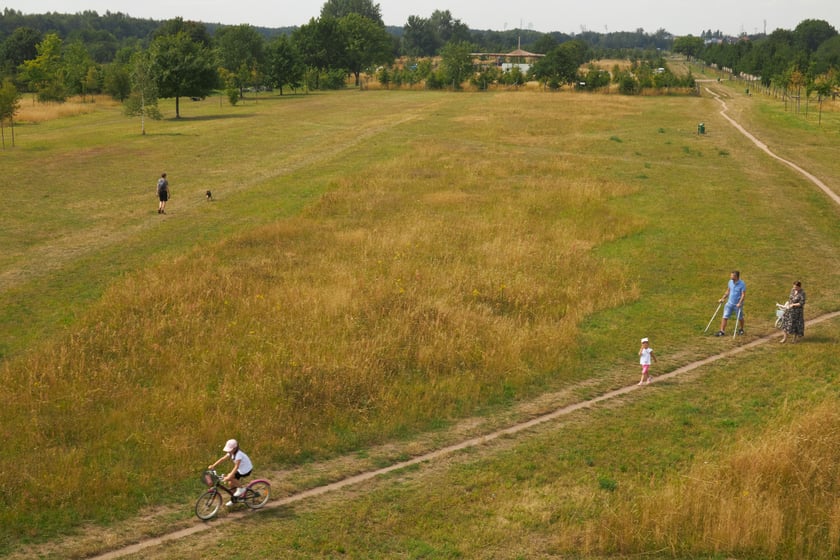 Park Tysiąclecia to jeden z najmłodszych kompleks&oacute;w, ma też część leśną. Atutem jest jego wielkość Na co dzień służy gł&oacute;wnie mieszkańcom Muchoboru Wielkiego i Nowego Dworu, osiedli z kt&oacute;rymi sąsiaduje.
Jednak coraz większa liczba atrakcji przyciąga mieszkańc&oacute;w całego miasta. Najnowszą jest plac zabaw w formie średniowiecznej warowni, ale znajdziemy tu też tradycyjny plac zabaw, siłownię, miejsca do grillowania. Po sąsiedzku mamy tor wrotkarski.