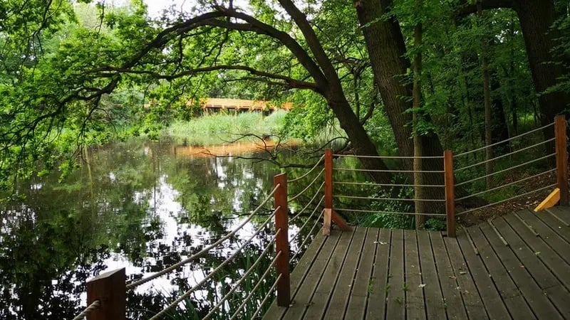 Czymś z przeciwnego biegu&nbsp; od przedstawionych założeń jest Swojczycki Park Czarna Woda. Jest całkiem nowy, bardzo mały i naturalistyczny. Urządzony wzdłuż brzegu koryta starej Odry, zwanego Czarną Wodą, tworzy bardzo urokliwą przestrzeń zagospodarowaną drewnianymi pomostami i utrzymanymi w tej samej stylistyce elementami małej architektury oraz urządzeniami dla dzikich zwierząt &ndash; domki, karmniki.
Jest doskonałym przykładem, że nawet niewielki skrawek zieleni można przekształcić w coś niezwykłego. Można go odwiedzić podczas wyprawy do parku Szczytnickiego, ponieważ znajdują się niedaleko siebie.