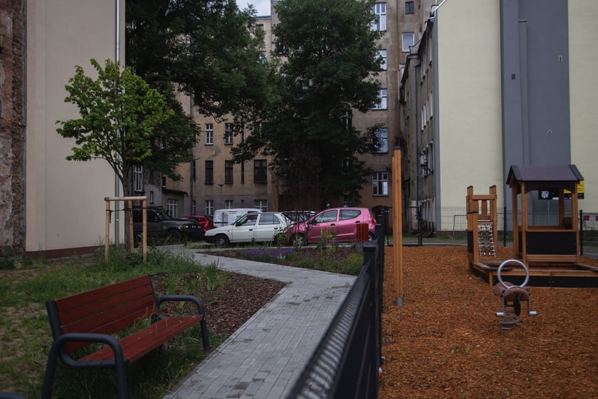 Zieleń na ulicy Daszyńskiego