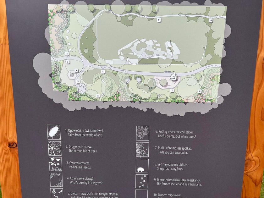 Obserwatorium przyrody przy Skarbowców