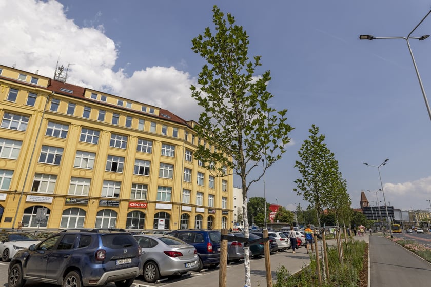 Zazieleniony teren pomiędzy p. Jana Pawła II a ul. Sokolniczą na ul. Legnickiej
