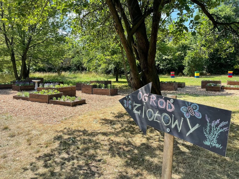 Ogród ziołowy w parku Skowronim we Wrocławiu