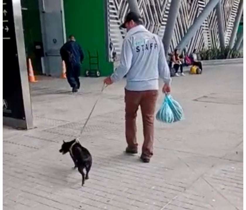 Rita rusza w podróż do Polski