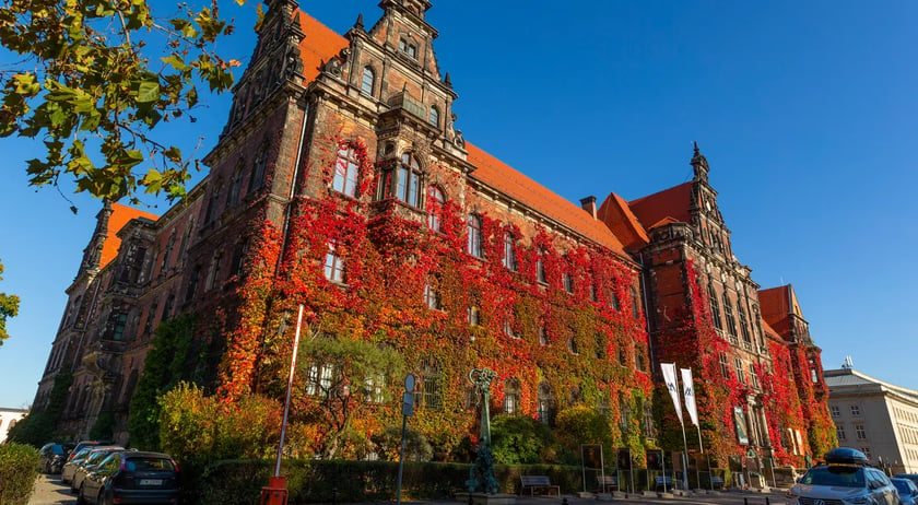 Pnącze na Muzeum Narodowym we Wrocławiu