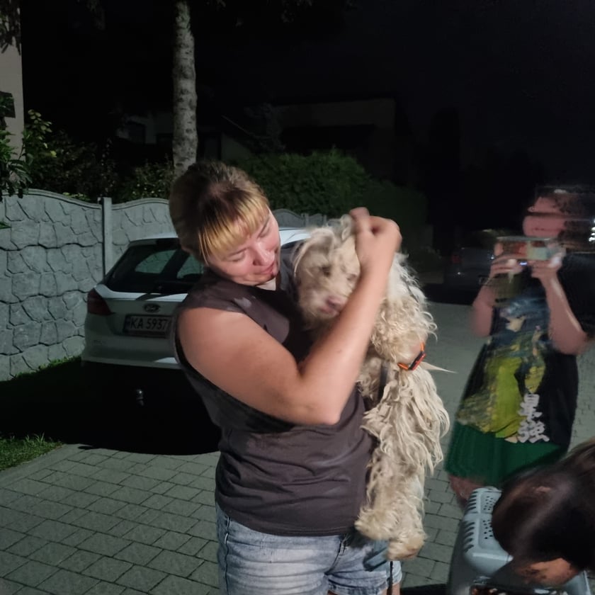 Zwierzęta przywiezione przez wolontariuszy z obwodu chersońskiego
