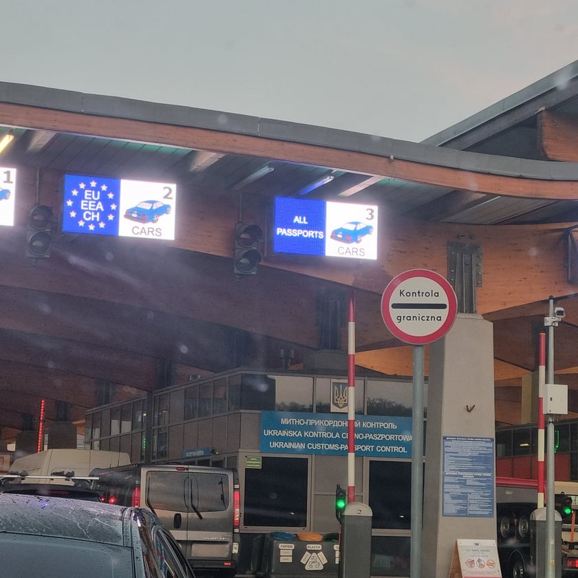 Zwierzęta przywiezione przez wolontariuszy z obwodu chersońskiego