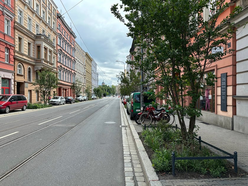 Ulica Chrobrego we Wrocławiu z nasadzeniami zieleni wysokiej.