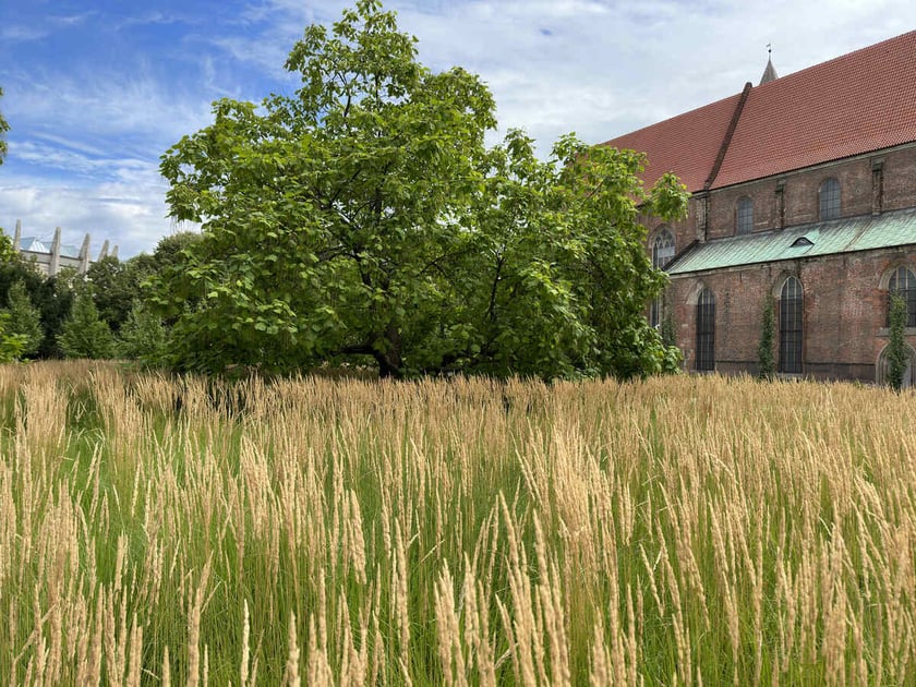Skwer Wrocławianek przy Muzeum Architektury, dawny parking