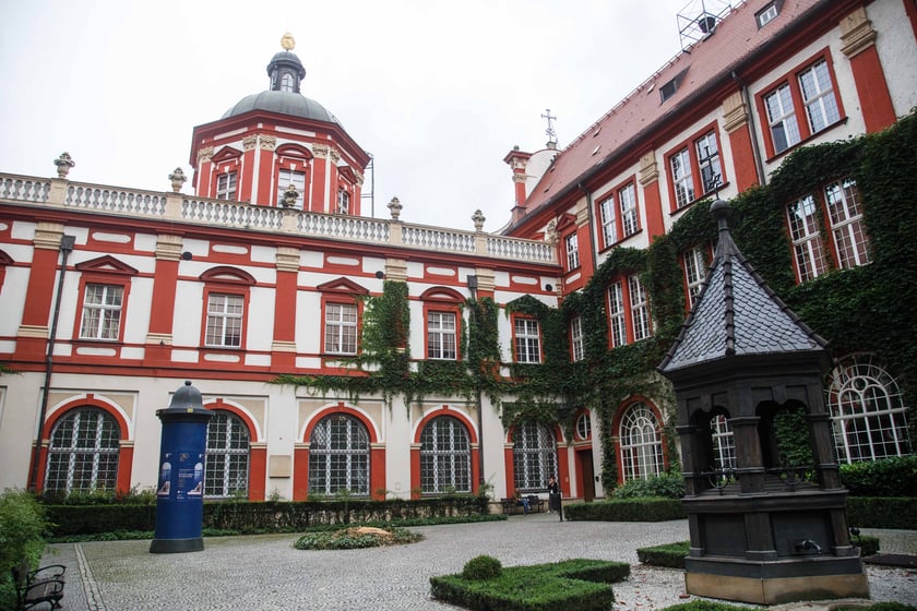 Dziedziniec Ossolineum, na którym rósł ponad stuletni kasztanowiec