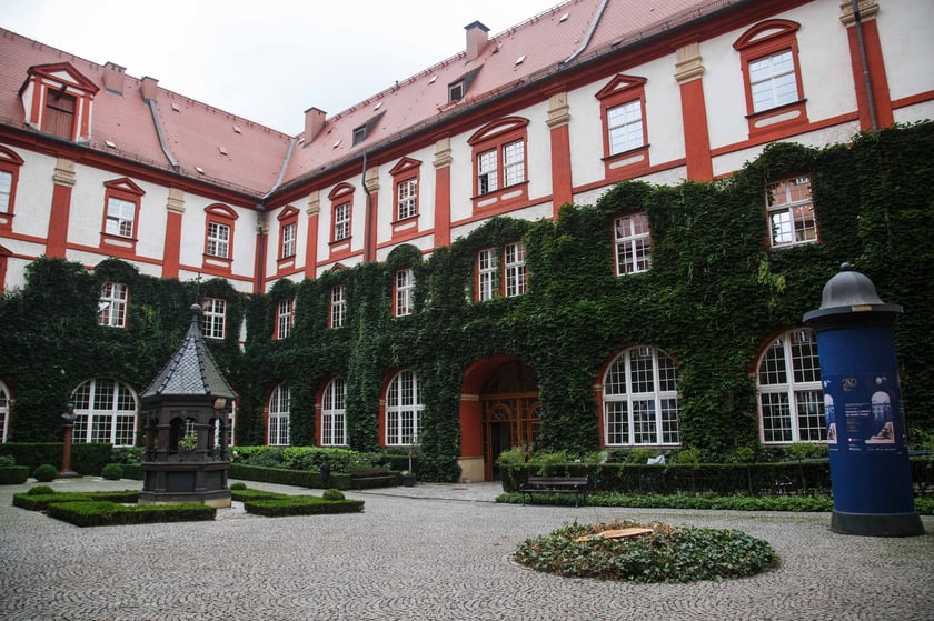 Dziedziniec Ossolineum, na którym rósł ponad stuletni kasztanowiec