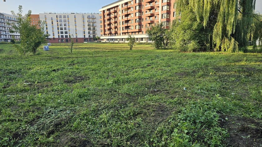 Remediacja w parku Mieszczańskim