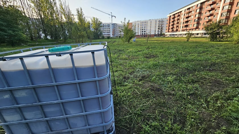 Remediacja w parku Mieszczańskim