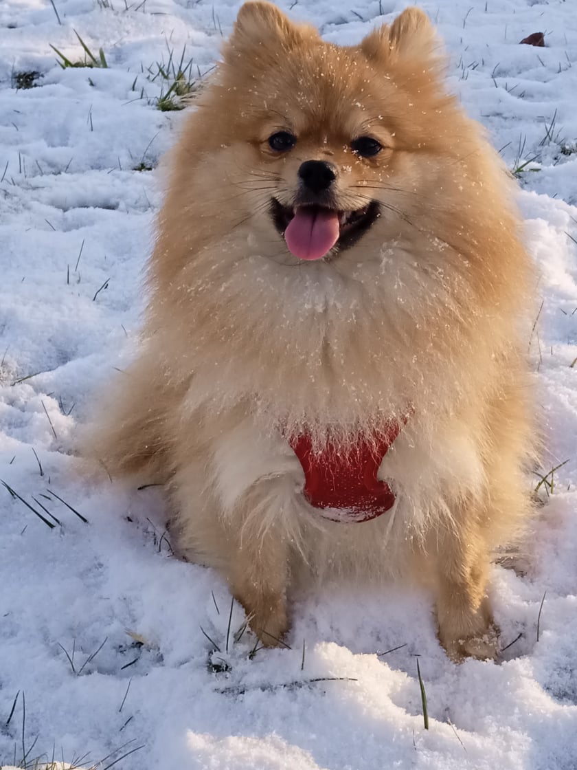 Zawsze uśmiechnięta i szczęśliwa ;)