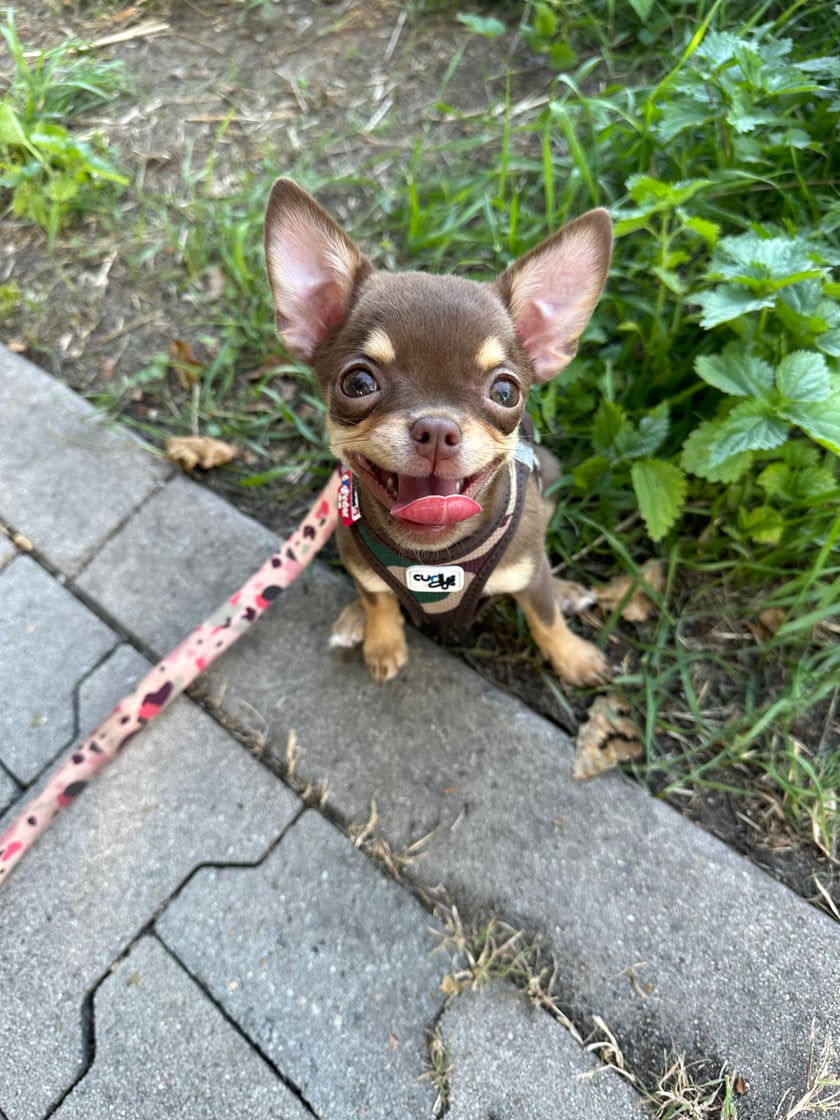 Na swoim pierwszym spacerku