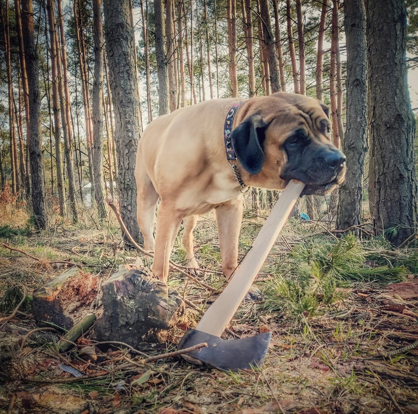 Totalny czub nad czuby, ale przede wszystkim... i On to wie!
