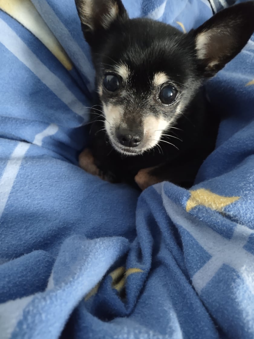 Najsłodsza przyjaciółka na dobre i na złe.