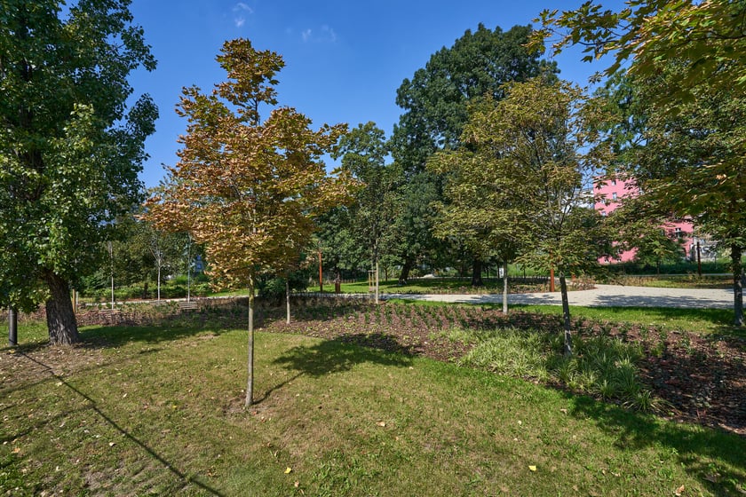 Skwer Niemena na Przedmieściu Świdnickim już odmieniony. Są nowe alejki, nasadzenia i infrastruktura