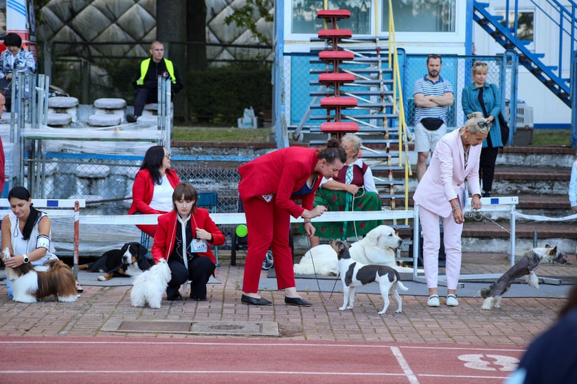 Międzynarodowa Wystawa Psów Rasowych na Stadionie Olimpijskim - 23 i 24 września 2023 r.