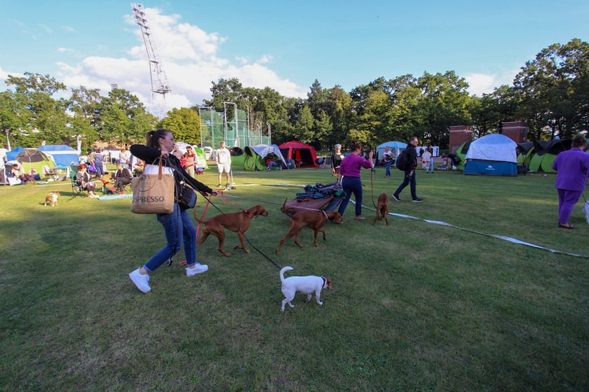 Międzynarodowa Wystawa Psów Rasowych na Stadionie Olimpijskim - 23 i 24 września 2023 r.