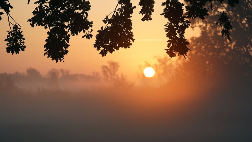 Wschód słońca na łące w pobliżu Jazu Opatowice