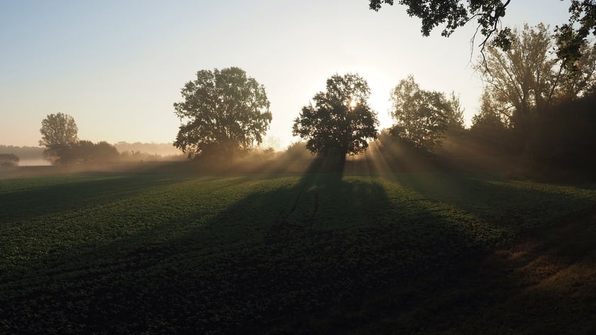 Wschód słońca na łące w pobliżu Jazu Opatowice
