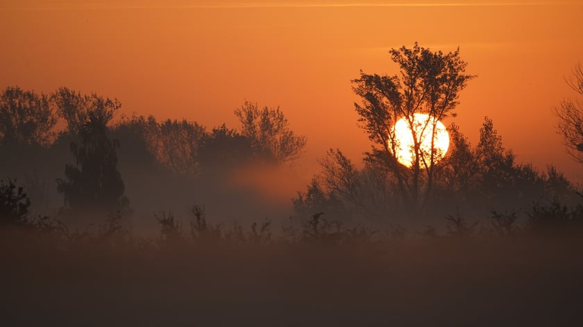 Wschód słońca na łące w pobliżu Jazu Opatowice